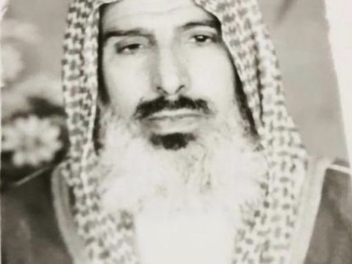 محمد عبدالعزيز محمد المفدى