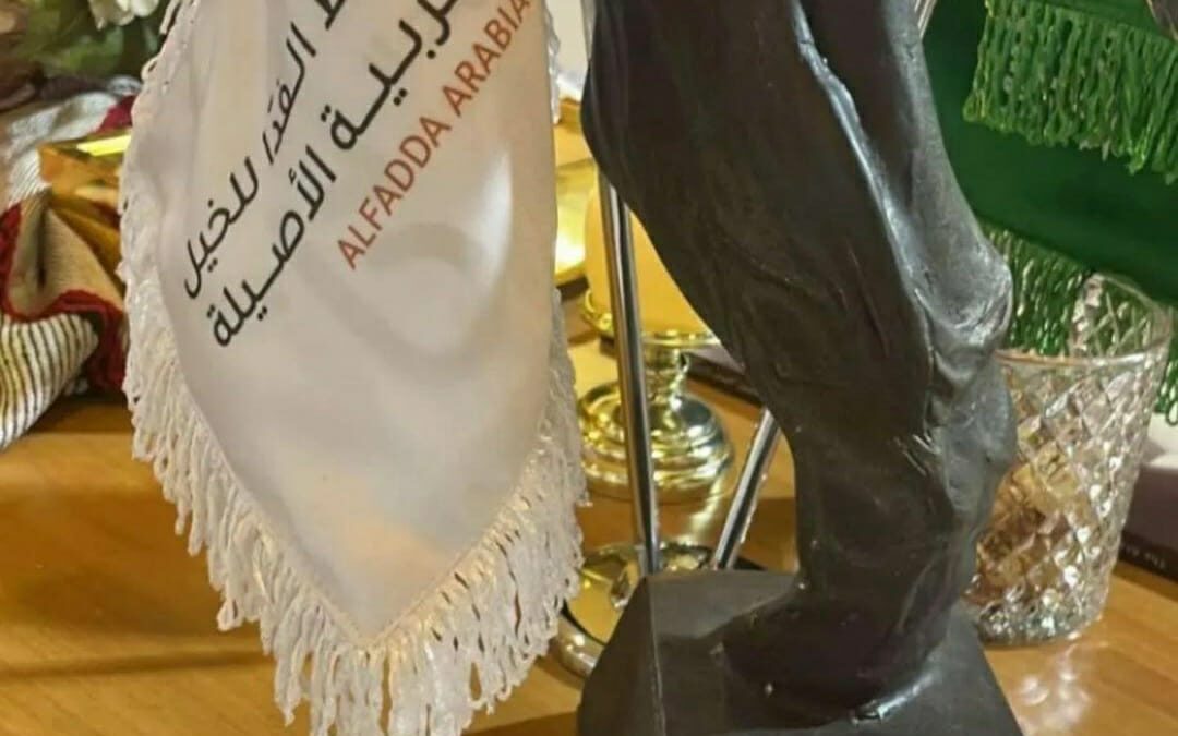 فوز الفدّا في بطولة الخيل العربية